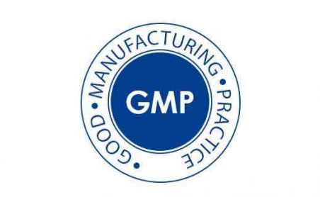GMP icon